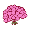 Geranium