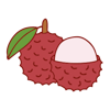 Lychee