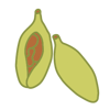 Cardamom