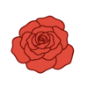 Rose Petals
