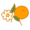 Orange Blossom