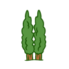Cypress