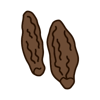 Tonka Bean