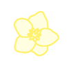 White Flowers